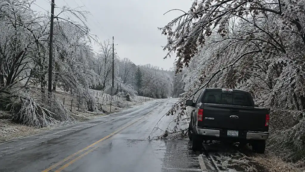 A rural road after an ice storm, tree branches bent under a coating of ice.